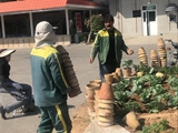 گلکاری محوطه بیمارستان قلب الزهرا(س)