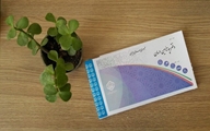 اختصاص سامانه تلفنی 1420 برای استفاده از خدمات مشاوره در راستای توقف صدور دفترچه های سازمان تامین اجتماعی