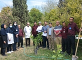 گرامیداشت روز درختکاری در فضای باز بیمارستان قلب الزهرا (س)