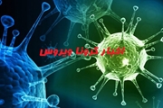 به روایت تصویر اقدامات انجام شده در مقابله و پیشگیری ویروس کرونا